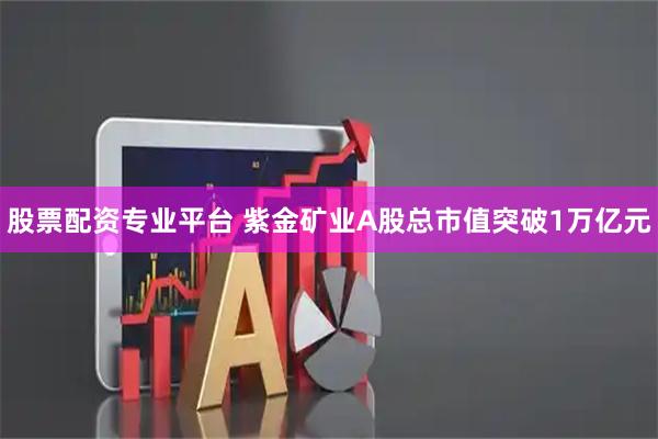 股票配资专业平台 紫金矿业A股总市值突破1万亿元